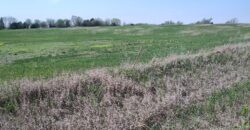 NEW LISTING!! 00000 286TH RD Holton, Ks, 66436