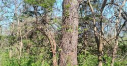 NEW LISTING!! 00000 286TH RD Holton, Ks, 66436