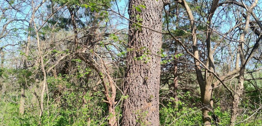 NEW LISTING!! 00000 286TH RD Holton, Ks, 66436