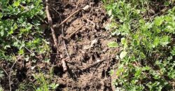 NEW LISTING!! 00000 286TH RD Holton, Ks, 66436