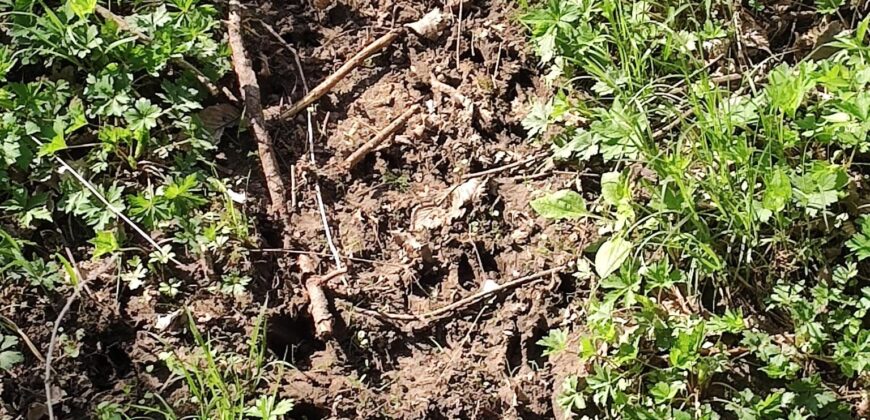 NEW LISTING!! 00000 286TH RD Holton, Ks, 66436