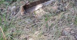 NEW LISTING!! 00000 286TH RD Holton, Ks, 66436