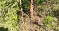 NEW LISTING!! 00000 286TH RD Holton, Ks, 66436